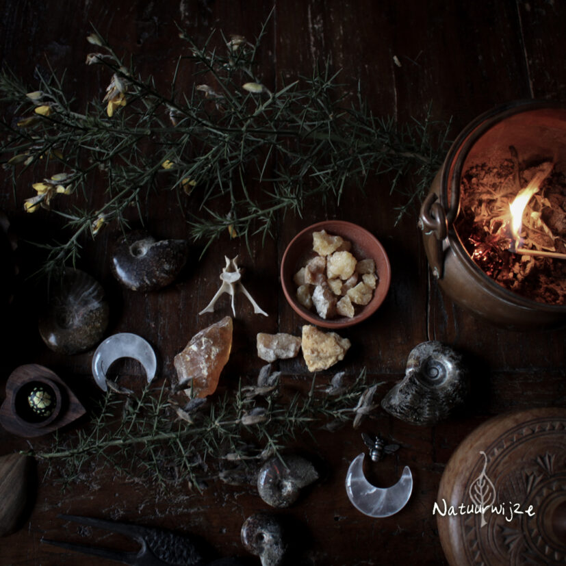 Wierook Kruiden & Branders