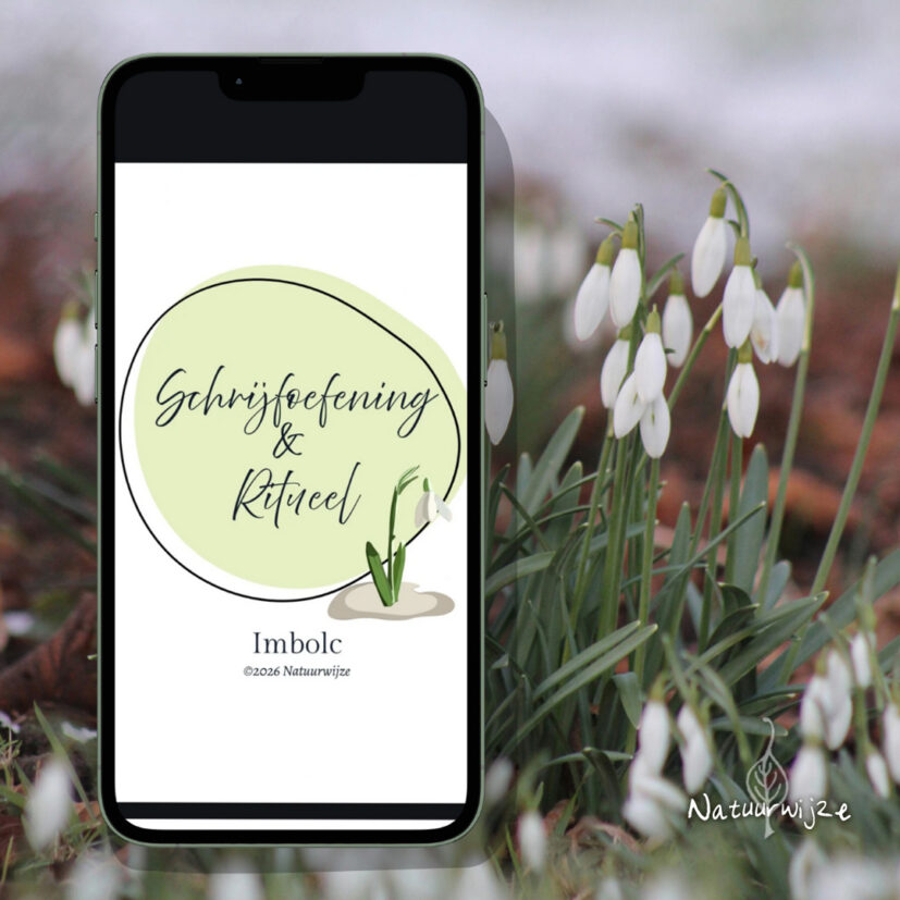 Imbolc Schrijfoefening & Ritueel | PDF download