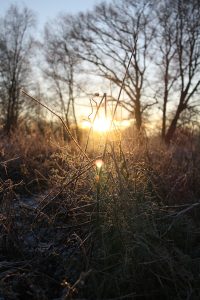IMG_4052